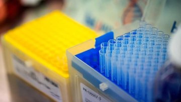 playzone gcash register