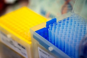 playzone gcash download